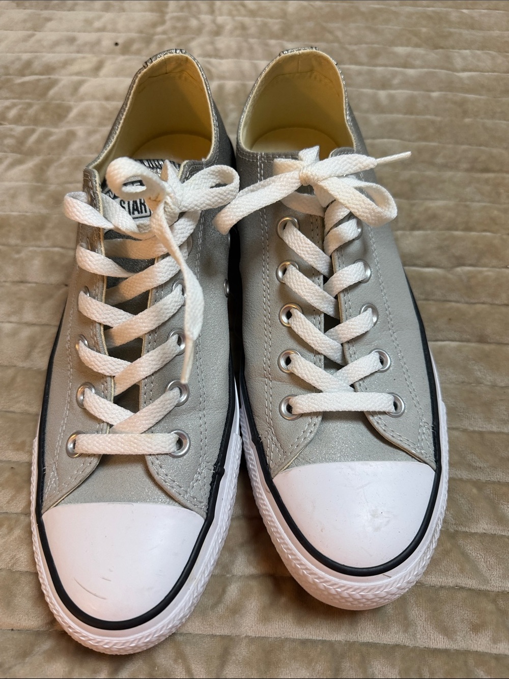 Converse Low-Top Sneakers in Silver and White